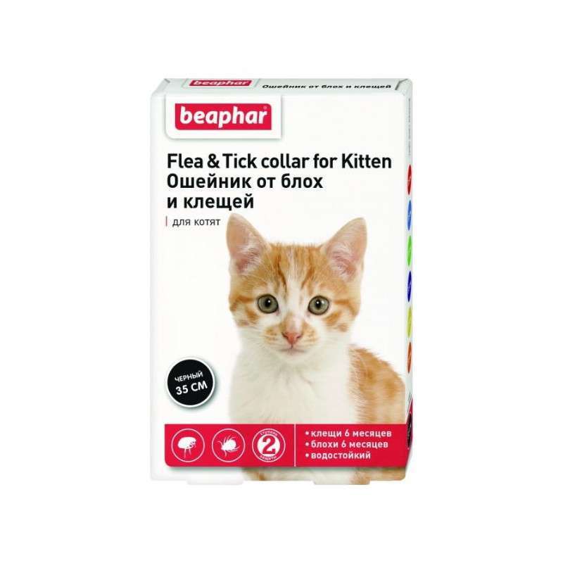 Beaphar (Беафар) Flea & Tick Collar for Kitten - Нашийник від бліх та кліщів для кошенят (35 см) в E-ZOO