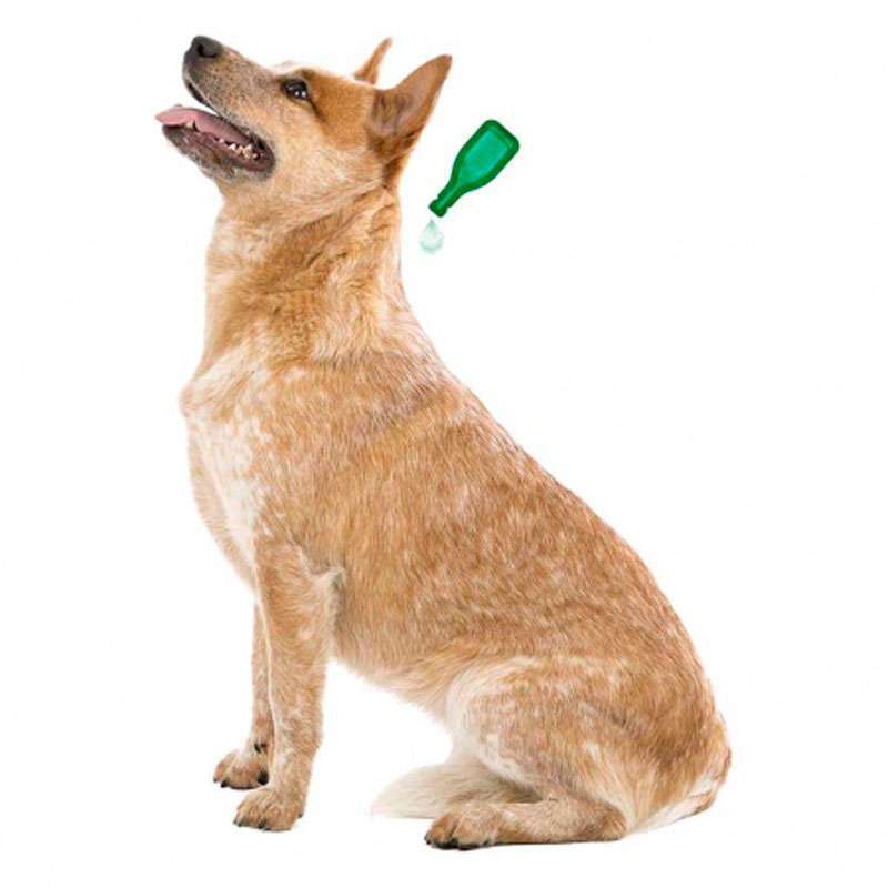 Beaphar (Беафар) Bio Spot On Dogs - Натуральные противопаразитарные капли для собак (15-30 кг Sale!) в E-ZOO