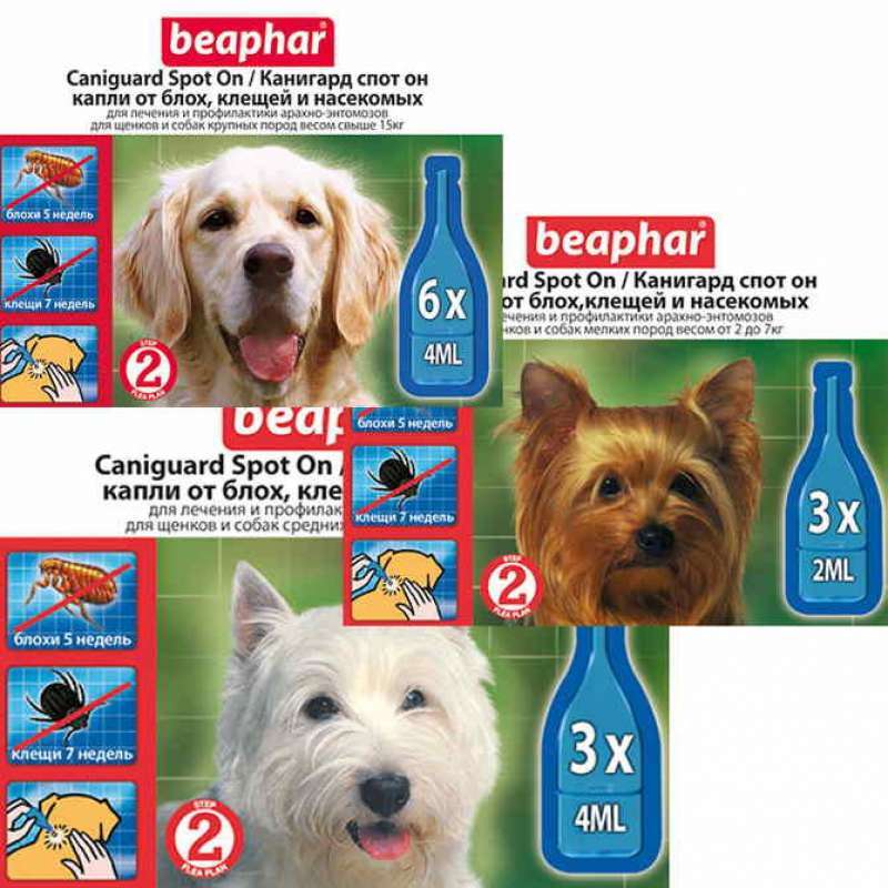 Beaphar (Беафар) Caniguard Spot On - Канігард краплі від бліх і кліщів для цуценят і собак (3 шт./уп. (вес 2-7 кг)) в E-ZOO