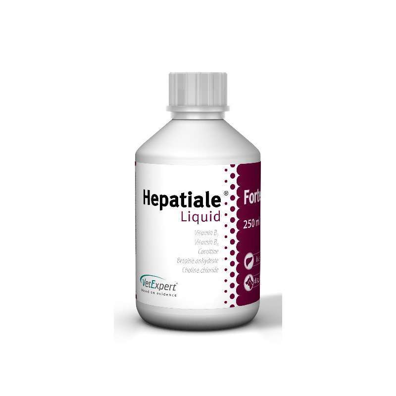 VetExpert (ВетЕксперт) Hepatiale Forte Liquid - Для підтримки функцій печінки собак і кішок (250 мл) в E-ZOO