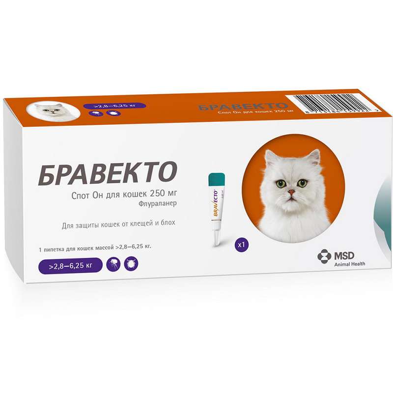Bravecto Spot-On (Бравекто Спот-Он) by MSD Animal Health - Противопаразитарные капли от блох и клещей для кошек (1 пипетка) (1,2-2,8 кг) в E-ZOO