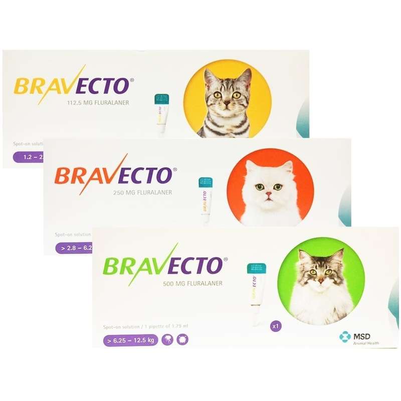 Bravecto Spot-On (Бравекто Спот-Он) by MSD Animal Health - Протипаразитарні краплі від бліх і кліщів для котів (1 піпетка) (1,2-2,8 кг) в E-ZOO