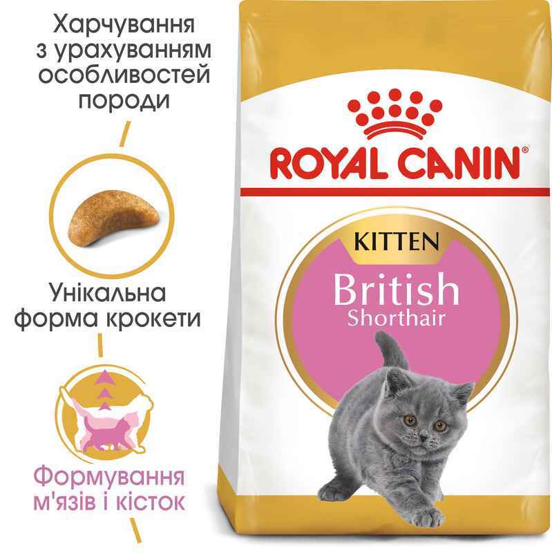 Royal Canin (Роял Канин) Kitten British Shorthair - Сухой корм с птицей для Британских короткошерстных котят - Фото 3