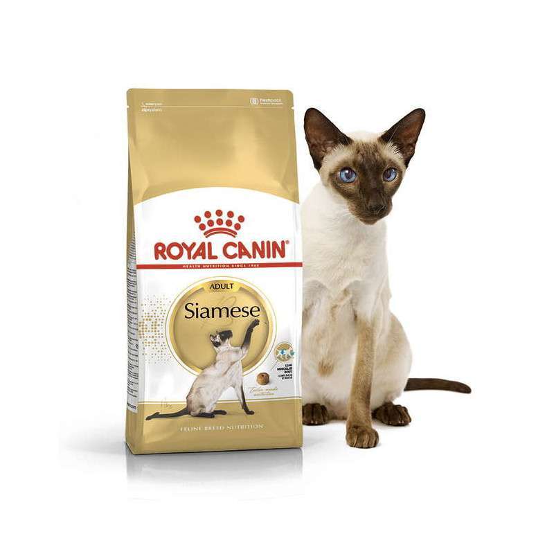 Royal Canin (Роял Канін) Siamese Adult - Сухий корм з птицею для дорослих Сіамських котів (400 г) в E-ZOO