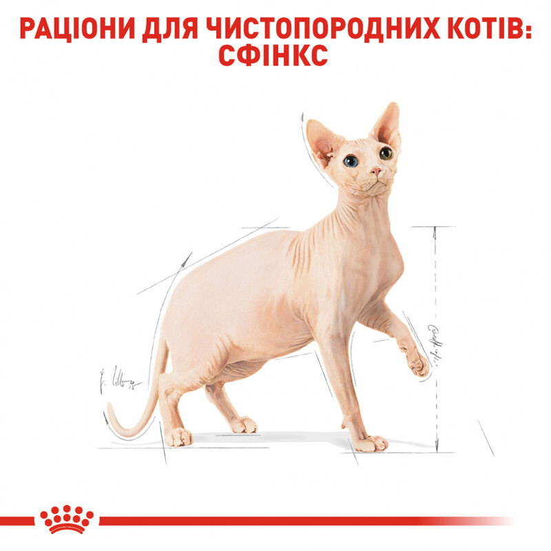 Royal Canin (Роял Канін) Sphynx Adult - Сухий корм з птицею для дорослих котів породи Сфінкс (2 кг) в E-ZOO