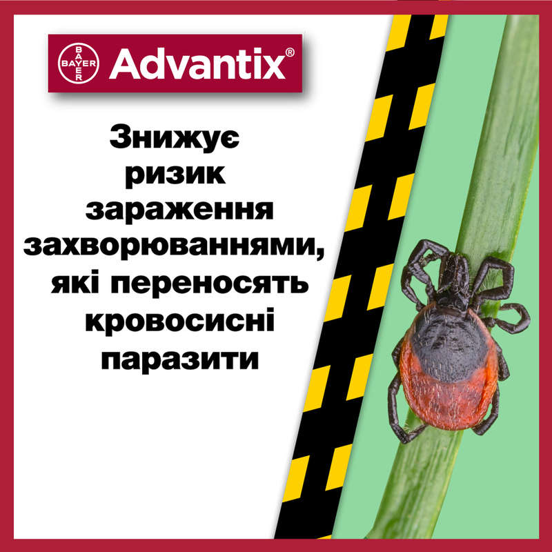 Advantix (Адвантікс) by Bayer Animal - Краплі від бліх і кліщів для собак (1 піпетка) (10-25 кг) в E-ZOO