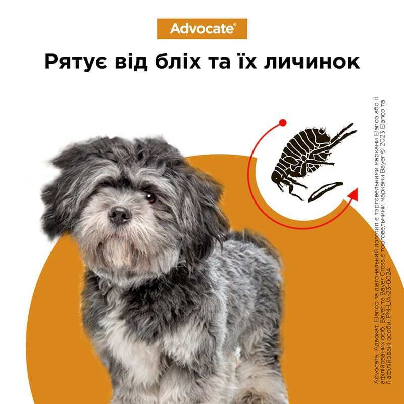 Advocate (Адвокат) by Elanco Animal - Противопаразитарные капли для собак от блох, вшей, клещей, гельминтов (1 пипетка) (< 4 кг) в E-ZOO