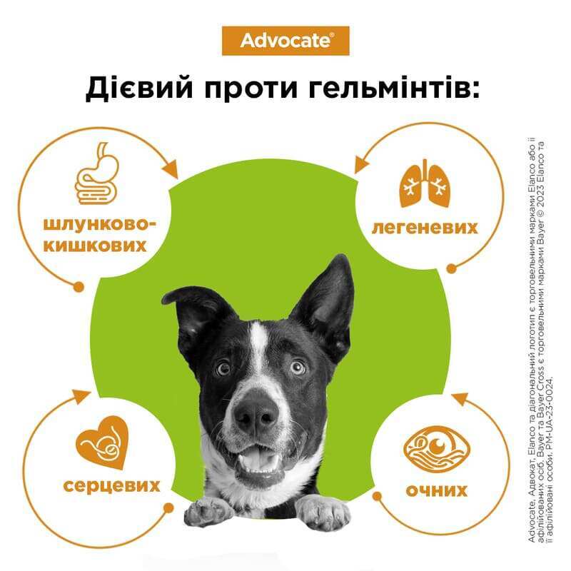 Advocate (Адвокат) by Elanco Animal - Протипаразитарні краплі для собак від бліх, вошей, кліщів, гельмінтів (1 піпетка) (< 4 кг) в E-ZOO