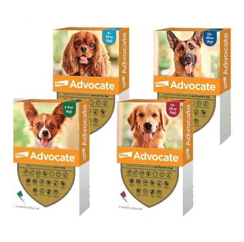Advocate (Адвокат) by Elanco Animal - Противопаразитарные капли для собак от блох, вшей, клещей, гельминтов (1 пипетка) (< 4 кг) в E-ZOO