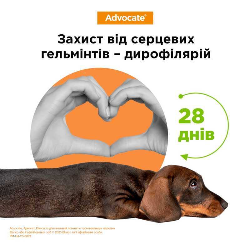 Advocate (Адвокат) by Elanco Animal - Противопаразитарные капли для собак от блох, вшей, клещей, гельминтов (1 пипетка) (< 4 кг) в E-ZOO