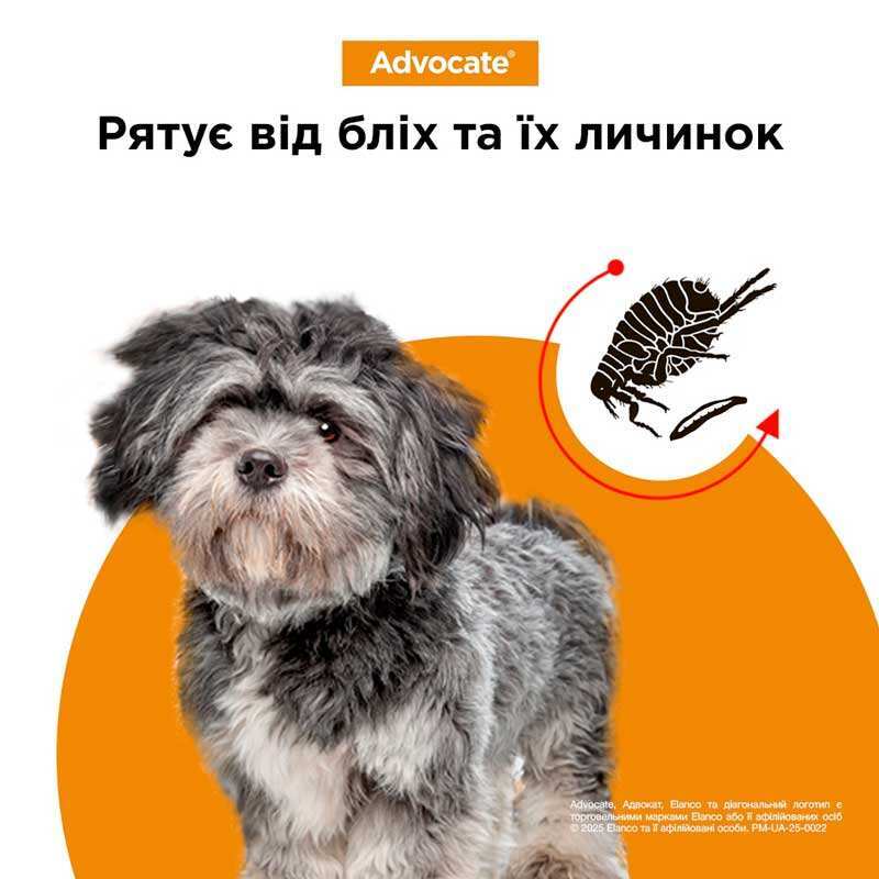 Advocate (Адвокат) by Elanco Animal - Противопаразитарные капли для собак от блох, вшей, клещей, гельминтов (1 пипетка) (< 4 кг) в E-ZOO