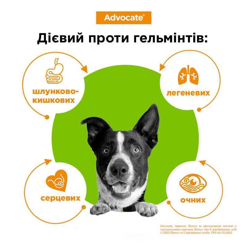 Advocate (Адвокат) by Elanco Animal - Противопаразитарные капли для собак от блох, вшей, клещей, гельминтов (1 пипетка) (< 4 кг) в E-ZOO
