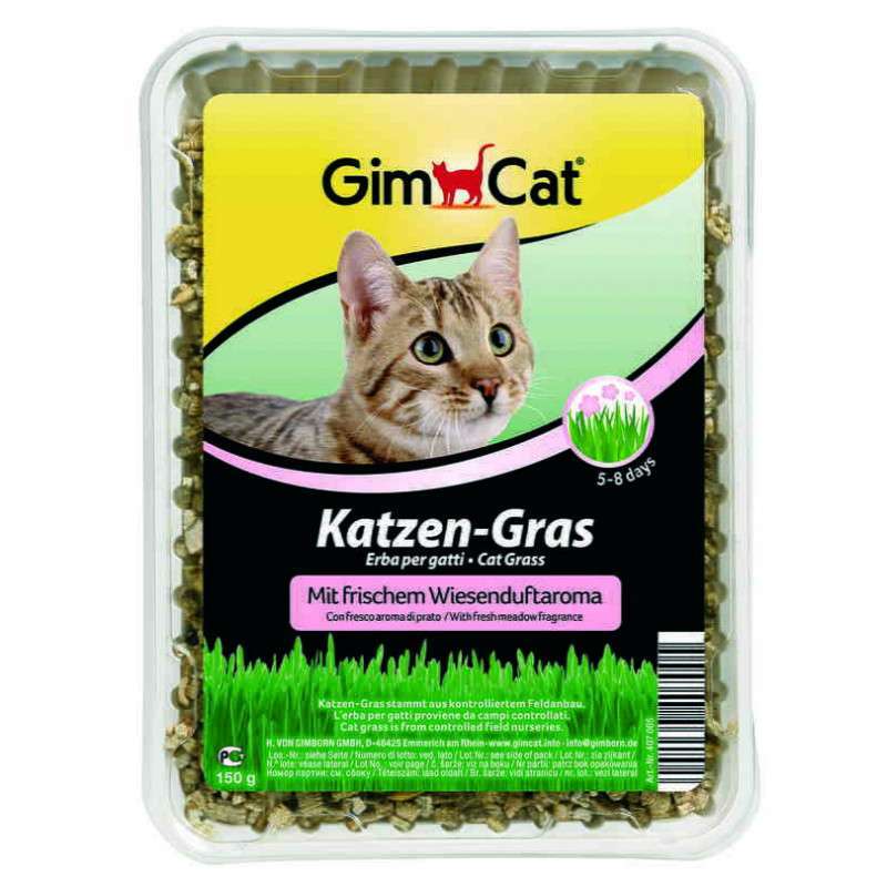 GimСat (ДжимКэт) Katzen-Gras - Быстропрорастающая травка для кошек с луговым ароматом (150 г) в E-ZOO