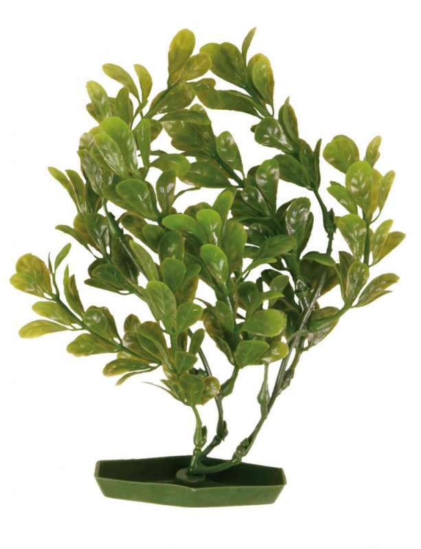 Trixie (Трикси) CLEIN - Растение для аквариума (17 см) в E-ZOO