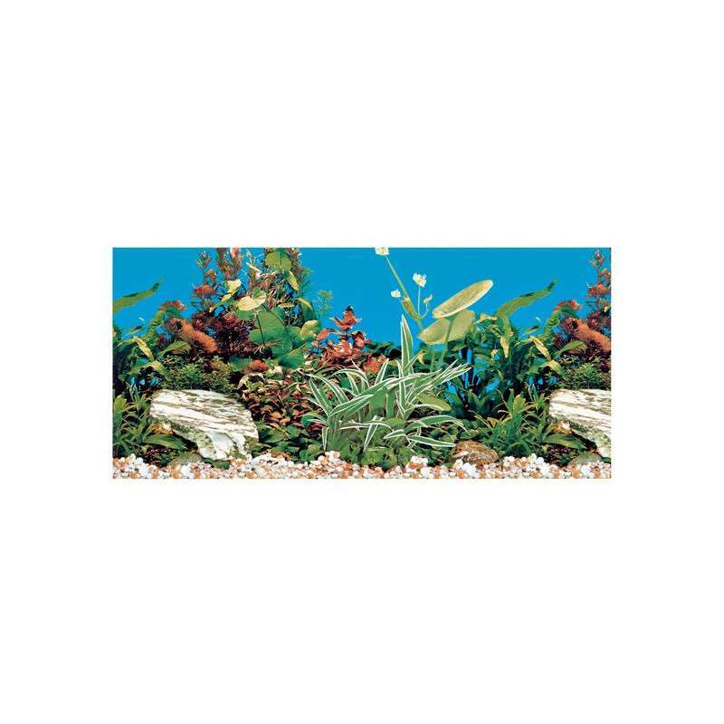 Trixie (Тріксі) Decoration Aquarium Rear Wall - Фон для декору акваріума двосторонній, 80x40 см (80x40 см) в E-ZOO