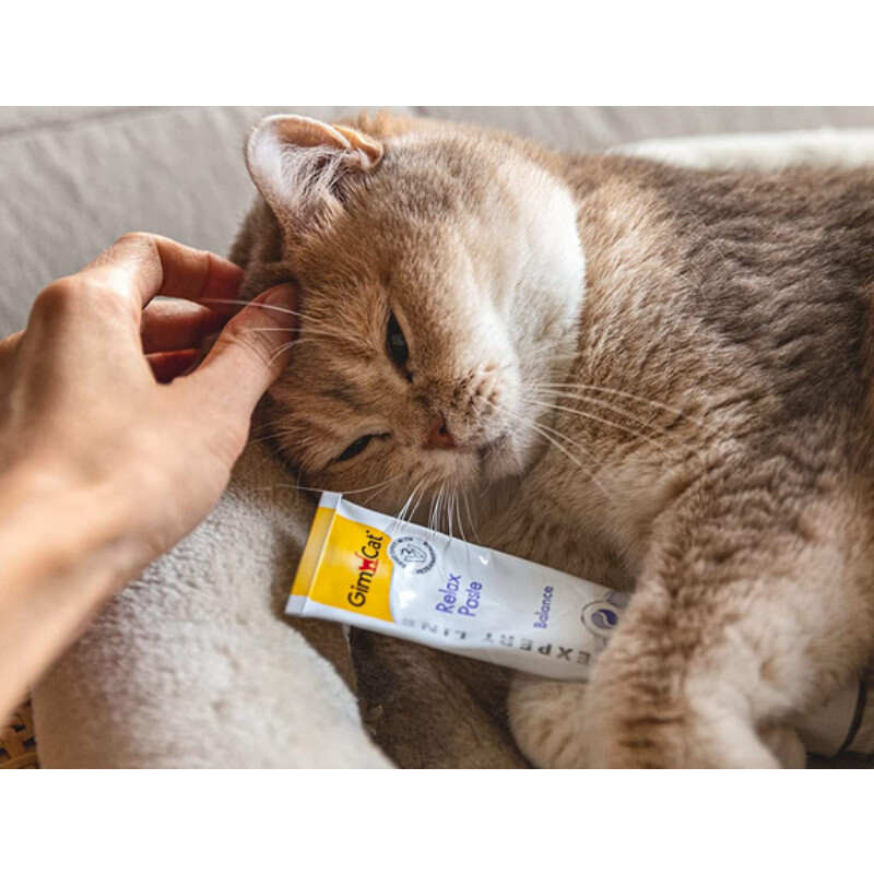 GimCat (ДжимКет) Expert Line Relax - Паста для кішок, що допомагає впоратися зі стресом та тривожними станами (50 г) в E-ZOO