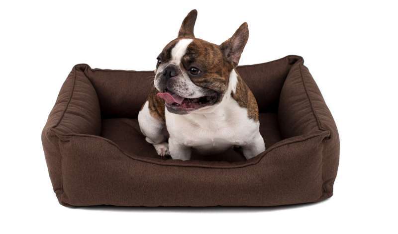 HARLEY & CHO (Харли энд Чо) DREAMER - Лежак с бортами для котов и собак (мебельная рогожка) (60х45 см) в E-ZOO