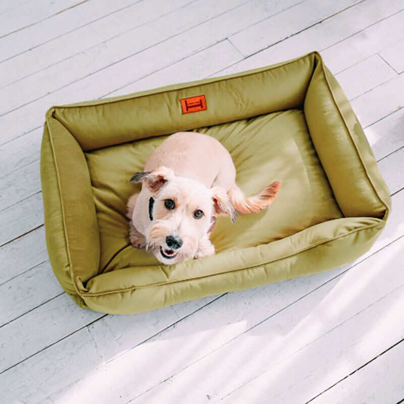 HARLEY & CHO (Харлі енд Чо) DREAMER Velour - Лежак велюровий для котів і собак (70х50 см) в E-ZOO