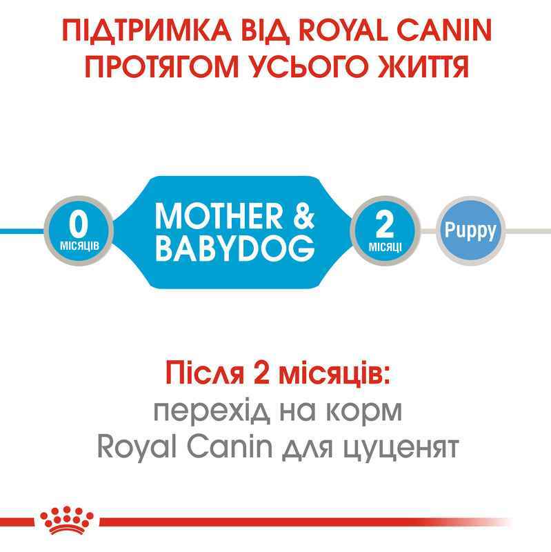 Royal Canin (Роял Канін) Starter Mother&Babydog Mousse - Мус для цуценят до 2-х місяців (195 г) в E-ZOO