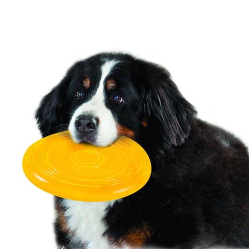 Petstages (Петстейджес) Orka Flyer - Іграшка для собак "Літаюча тарілка" (Ø 22,5 см) в E-ZOO