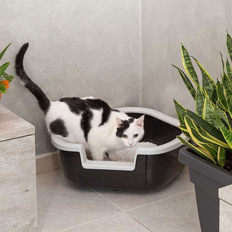 Ferplast (Ферпласт) Dama - Туалет угловой для котов (57,5x51,5x22 см) в E-ZOO