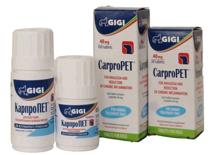 Gigi (Гігі) КарпроПЕТ- Нестероїдний протизапальний препарат для собак (100 шт./уп.) в E-ZOO