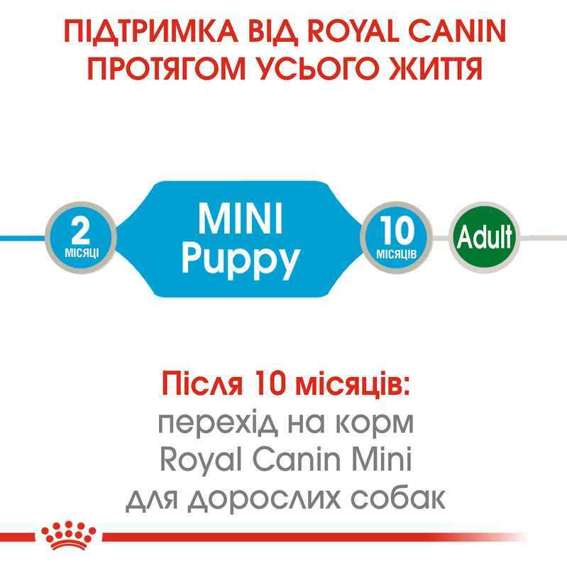 Royal Canin (Роял Канін) Mini Puppy - Консервований корм для цуценят дрібних порід (шматочки в соусі) (85 г) в E-ZOO
