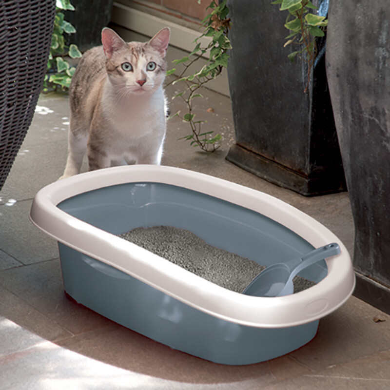 Stefanplast (Стефанпласт) Sprint 10 - Открытый туалет для кошек с гигиеническим ободком (43х31x14 см) в E-ZOO