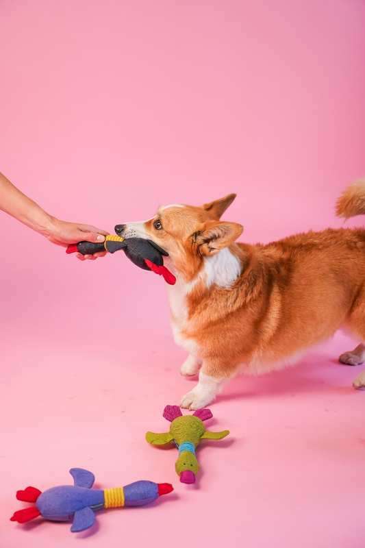 HARLEY & CHO (Харлі енд Чо) М’яка іграшка Гусак "Jose Carlos" для собак (28х8х5 см) в E-ZOO