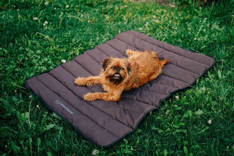 HARLEY & CHO (Харли энд Чо) Tavel roll up mat Brown - Прогулочный мат для собак (коричневый) (100х60 см) в E-ZOO