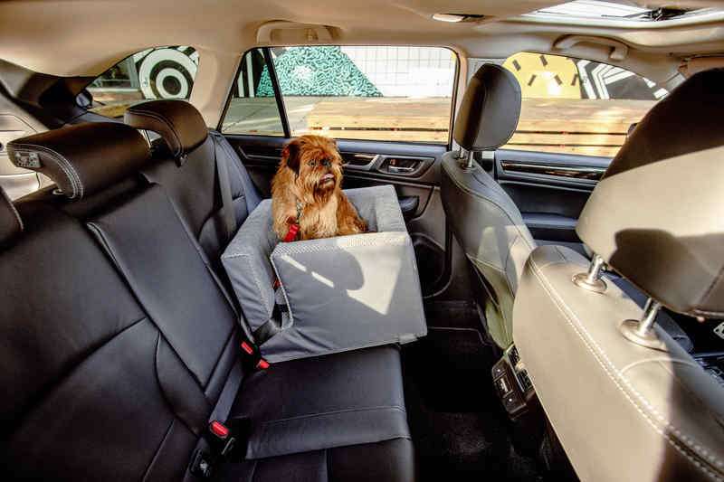 HARLEY & CHO (Харлі енд Чо) Автомобільне крісло для собак Discovery (48x48x35 см) в E-ZOO
