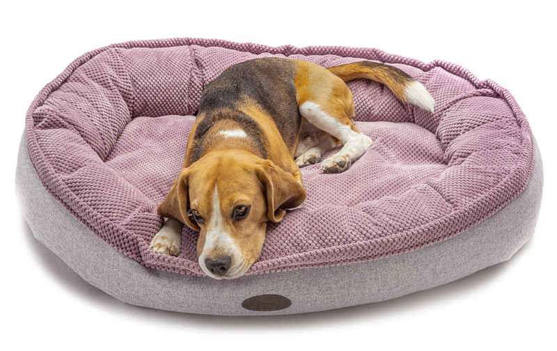 HARLEY & CHO (Харли энд Чо) Donut Soft Touch Pink - Овальный лежак для собак (розовый) (110х80х23 см) в E-ZOO