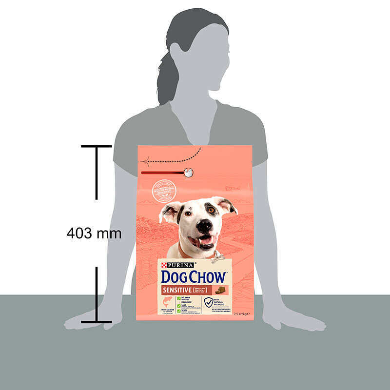 Dog Chow (Дог Чау) Adult Sensitive - Сухий корм з лососем і рисом для собак (2,5 кг) в E-ZOO