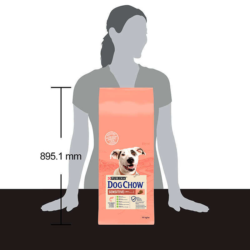 Dog Chow (Дог Чау) Adult Sensitive - Сухой корм с лососем и рисом для собак (14 кг) в E-ZOO
