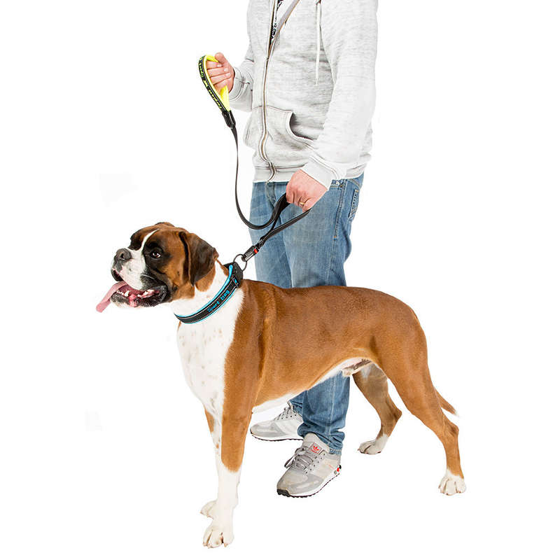 Ferplast (Ферпласт) Sport Dog Matic - Поводок нейлоновый для собак (2,5x120 см) в E-ZOO