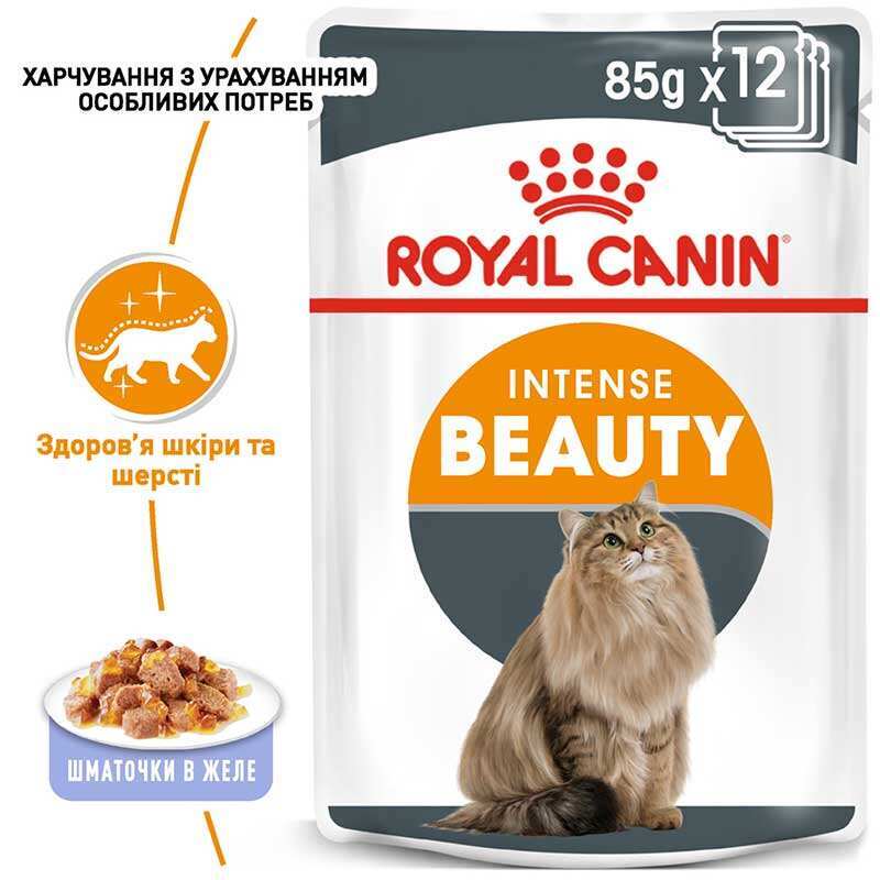Royal Canin (Роял Канин) Intense Beauty - Консервированный корм для кошек для поддержания красоты шерсти (кусочки в желе) (85 г) в E-ZOO