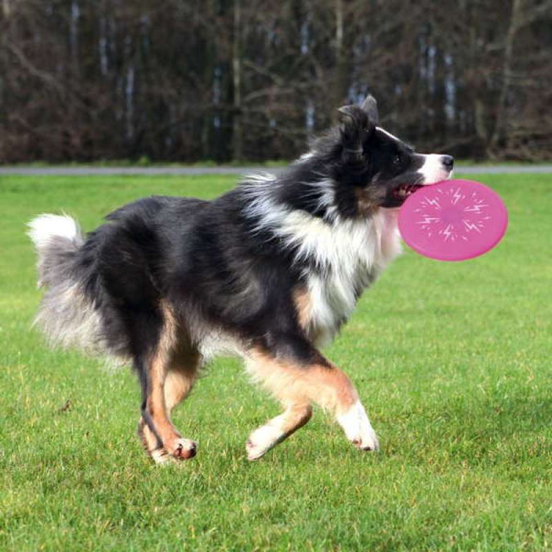 Trixie (Тріксі) Літаюча тарілка для собак що світиться (20 см) в E-ZOO