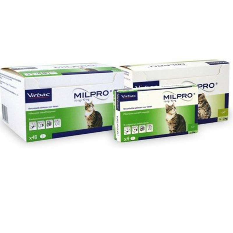 Virbac (Вірбак) Milpro - Таблетки Мільпро протипаразитарний препарат для дорослих котів, ефективний антигельмінтик (4 шт./уп. (вес 2-8 кг)) в E-ZOO