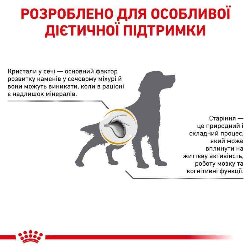 Royal Canin (Роял Канін) Urinary S/O Ageing 7+ - Сухий корм для собак старше 7 років при захворюваннях сечовидільної системи (1,5 кг) в E-ZOO
