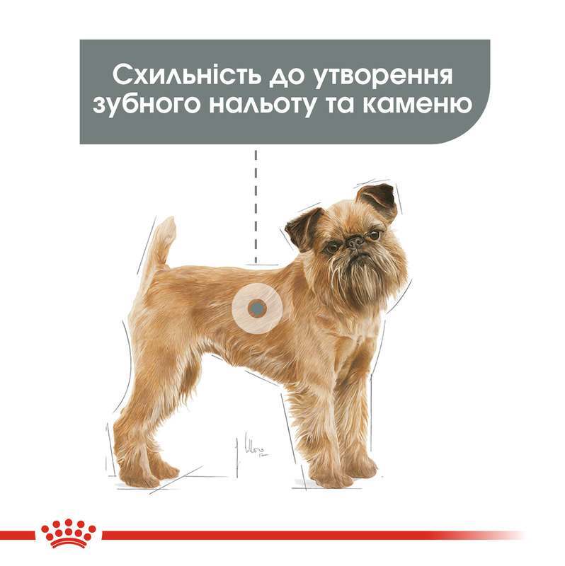 Royal Canin (Роял Канин) Mini Dental Care - Сухой корм для собак малых пород с повышенной чувствительностью зубов (3 кг) в E-ZOO