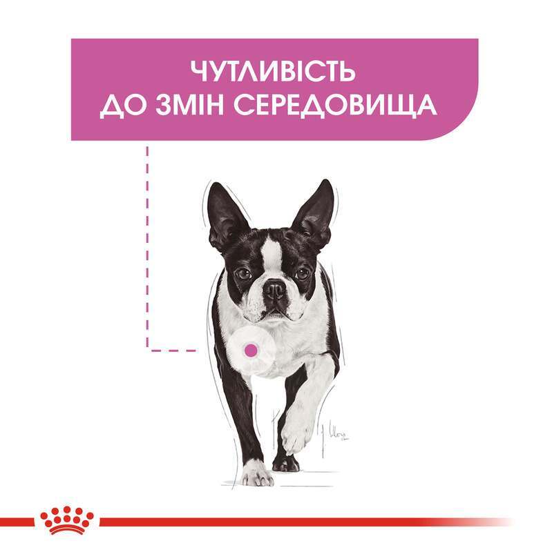 Royal Canin (Роял Канин) Mini Relax Care - Сухой корм для собак малых пород, чувствительных к изменениям среды (3 кг) в E-ZOO