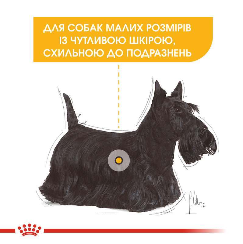 Royal Canin (Роял Канін) Mini Dermacomfort - Сухий корм для собак з чутливою шкірою, схильною до роздратувань (1 кг) в E-ZOO