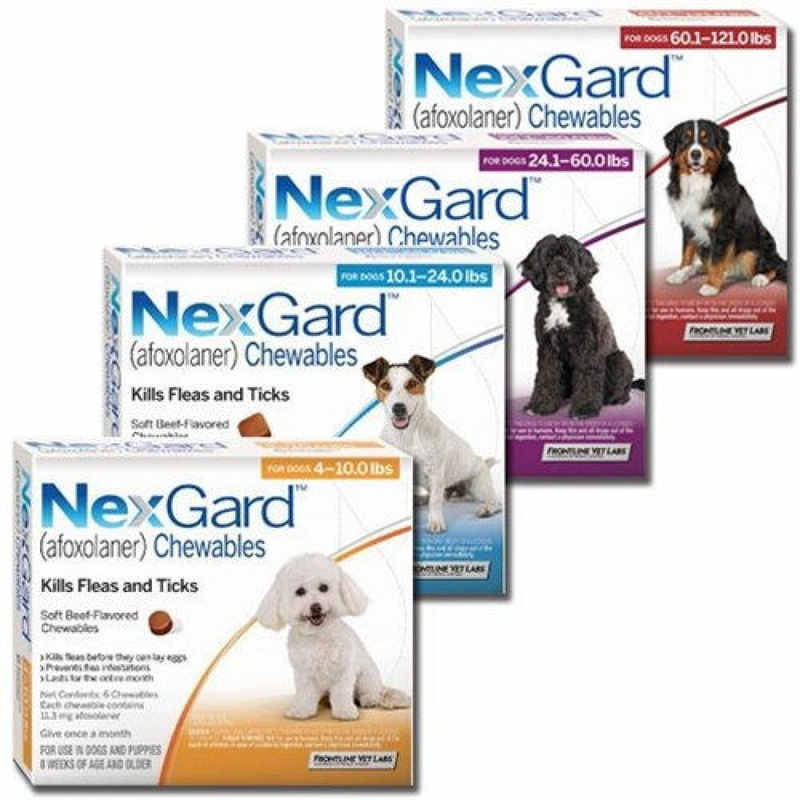Некс Гард противопаразитарный препарат от блох и клещей для собак (1 таблетка) (2-4 кг) в E-ZOO