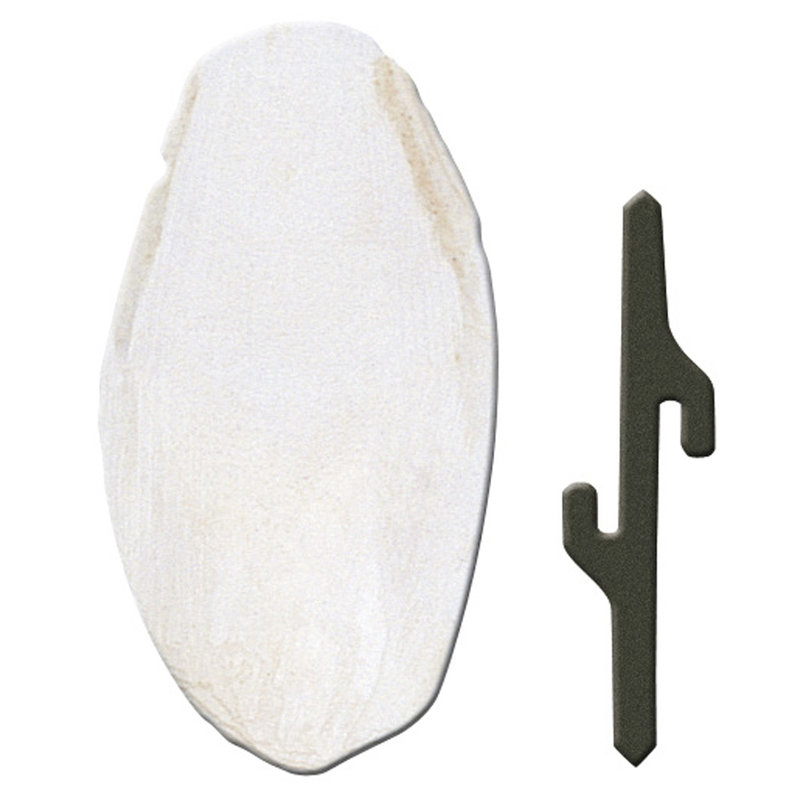 Ferplast (Ферпласт) Cuttlebone - Кісточка каракатиці для зміцнення дзьоба птахів (5x1,5x12,5 см) в E-ZOO