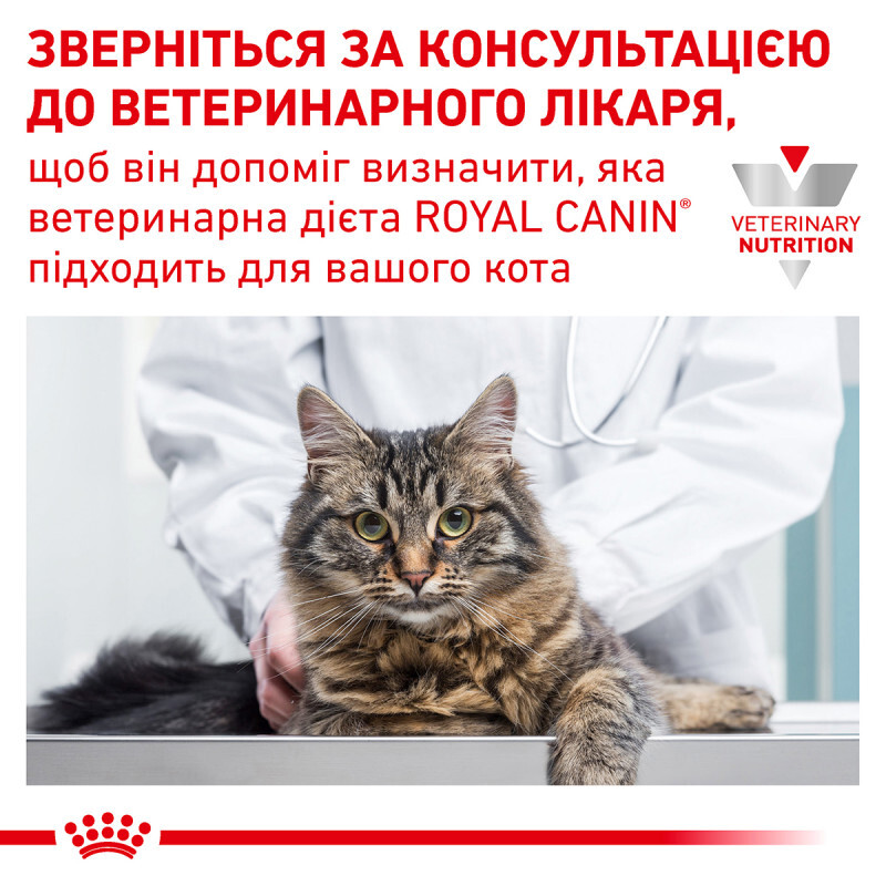 Royal Canin (Роял Канін) Skin&Coat Cat - Ветеринарна дієта для котів після стерилизації при дерматозі та випадінні шерсті (3,5 кг) в E-ZOO