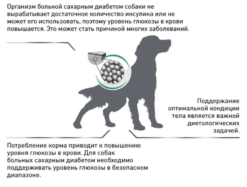 Royal Canin (Роял Канин) Diabetic - Ветеринарная диета для собак при сахарном диабете (1,5 кг) в E-ZOO