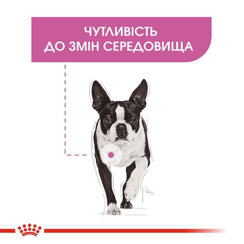 Royal Canin (Роял Канін) Relax Care Loaf - Консервований корм для собак різних розмірів, чутливих до змін середовища (паштет) (85 г) в E-ZOO