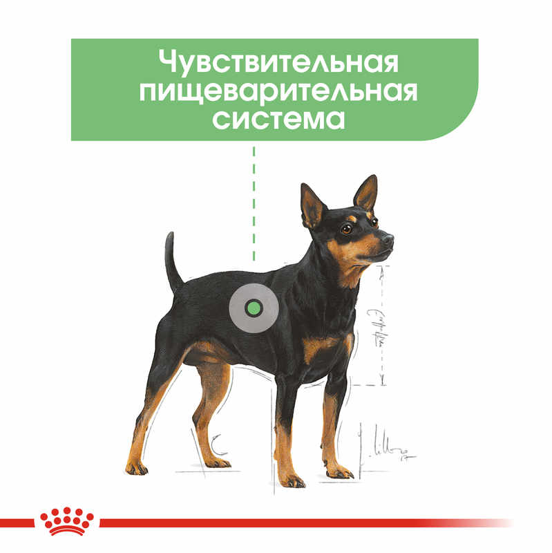 Royal Canin (Роял Канин) Digestive Care Loaf - Консервированный корм для собак с чувствительной пищеварительной системой (паштет) (85 г) в E-ZOO