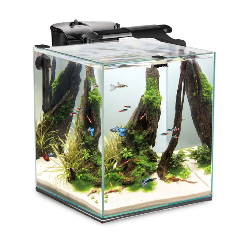 AquaEL (АкваЕль) Fish & Shrimp Set Duo 35 (49 л) - Акваріумний панорамний набір з комплектом устаткування для створення невеликих прісноводних акваріумів (49 л) в E-ZOO