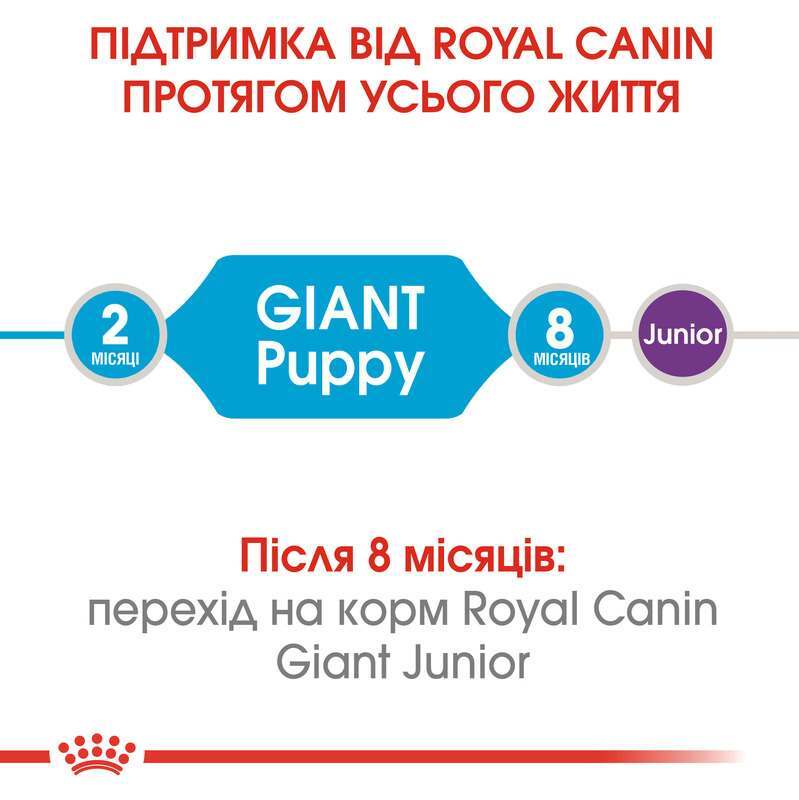 Royal Canin (Роял Канин) Giant Puppy - Сухой корм для щенков гигантских пород - Фото 4